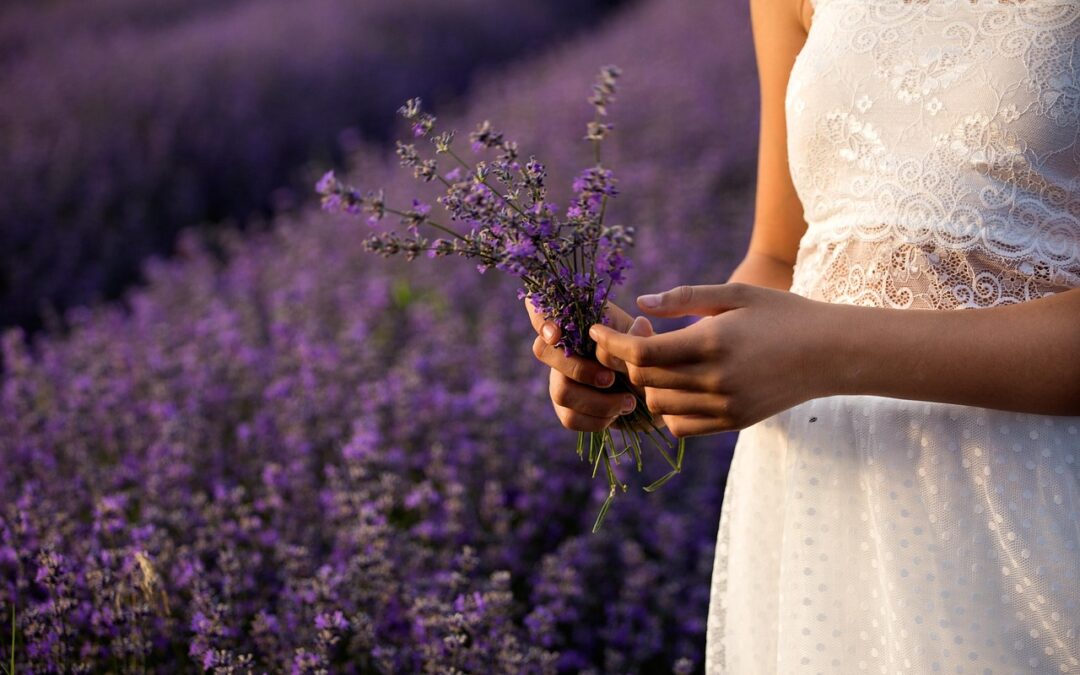 La silenziosità della lavanda avvizzita